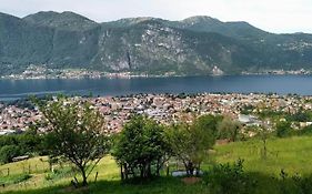 Nido di Rongio